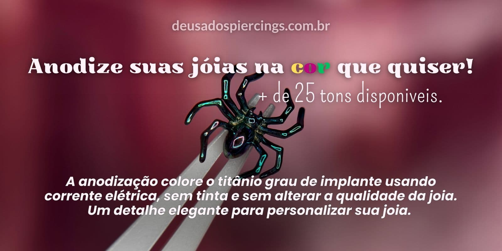 Banner Anodização